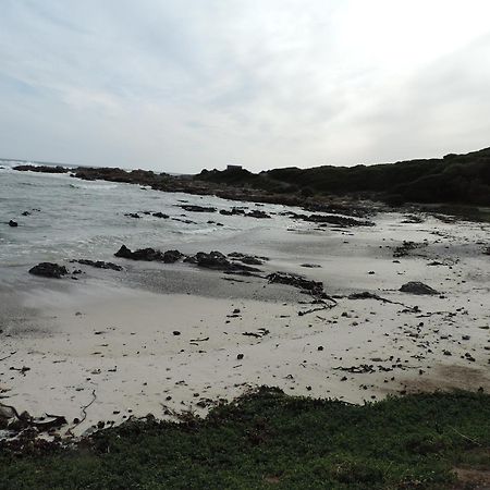 Wave Dancer Bed and Breakfast Gansbaai Exterior foto
