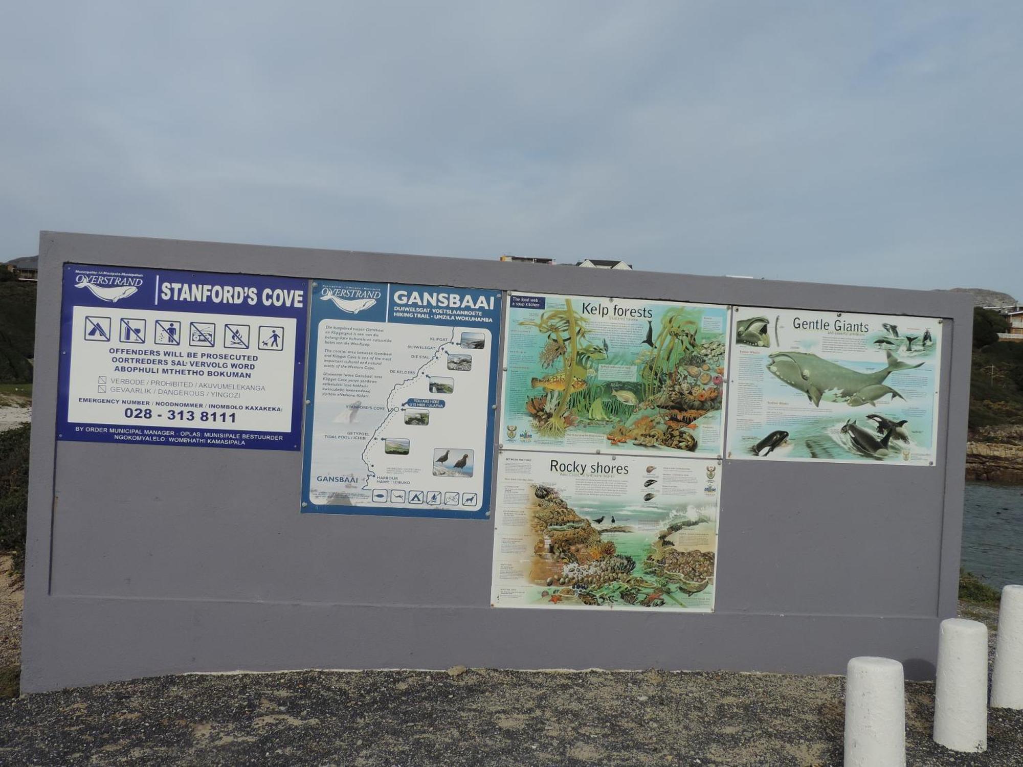 Wave Dancer Bed and Breakfast Gansbaai Exterior foto