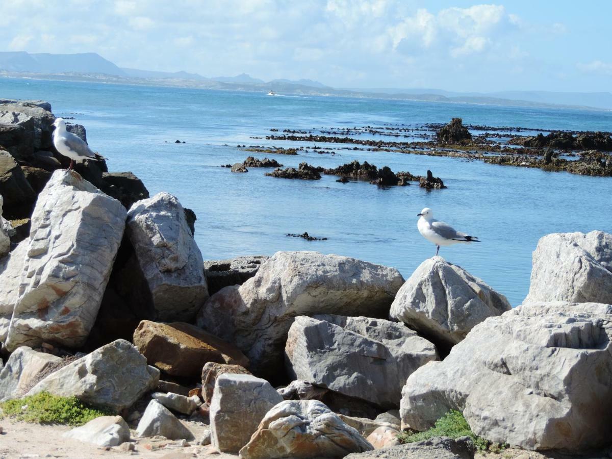 Wave Dancer Bed and Breakfast Gansbaai Exterior foto