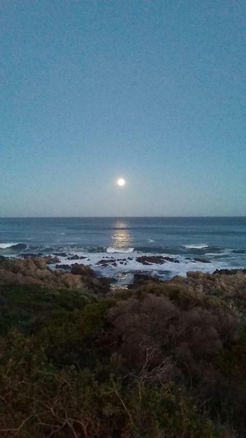 Wave Dancer Bed and Breakfast Gansbaai Exterior foto