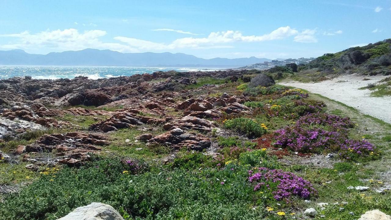Wave Dancer Bed and Breakfast Gansbaai Exterior foto